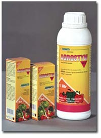 Agrostym